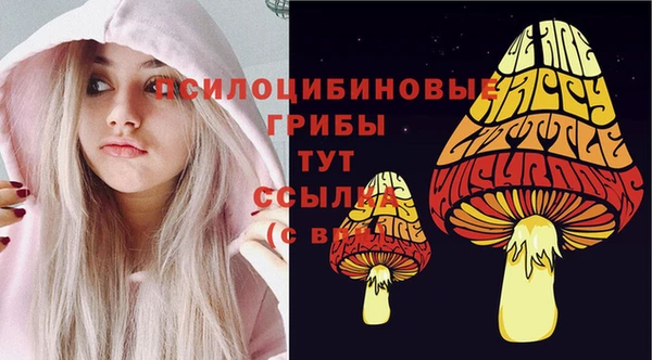 ПСИЛОЦИБИНОВЫЕ ГРИБЫ Надым