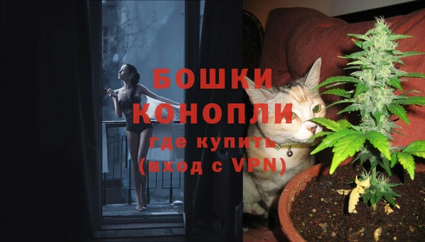 ПСИЛОЦИБИНОВЫЕ ГРИБЫ Надым