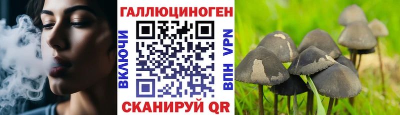 Псилоцибиновые грибы прущие грибы  мега рабочий сайт  Холмск 
