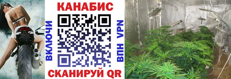 Каннабис семена Холмск